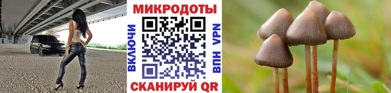 Псилоцибиновые грибы ЛСД Зеленогорск