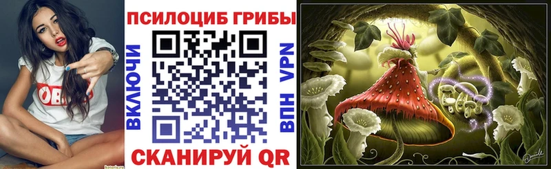 Галлюциногенные грибы GOLDEN TEACHER  Зеленогорск 